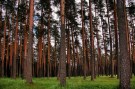 Нет заданного изображения 