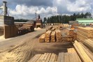 wood_pine_wood